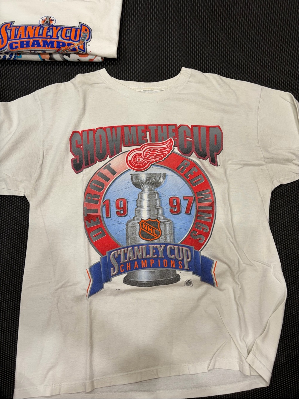 Vintage Starter Detroit Red Wings Stanley Cup Champions Hockey T-Shirt